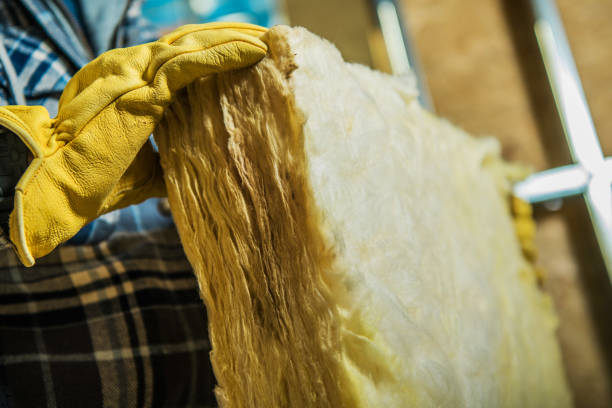 Best Cellulose Insulation in Loxahatchee Groves, FL