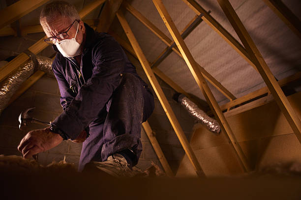 Types of Insulation We Offer in Loxahatchee Groves, FL